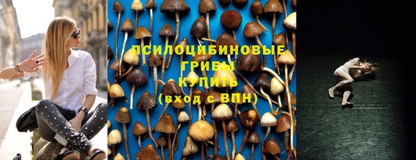 прущая мука Осинники