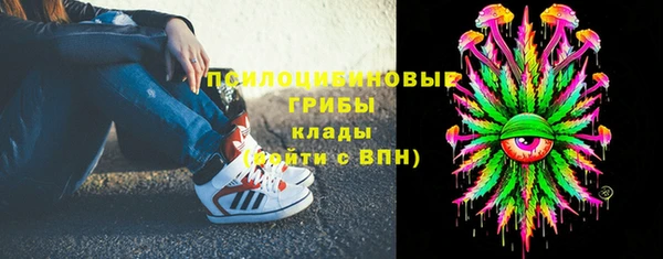 прущая мука Осинники